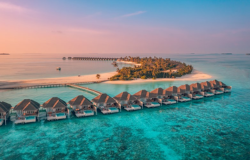 مالدیو